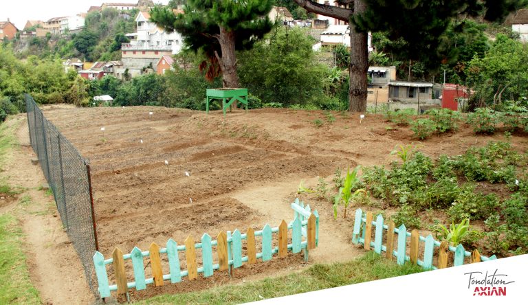 Jardin potager scolaire : inauguration à l’EPP Ankadinandriana