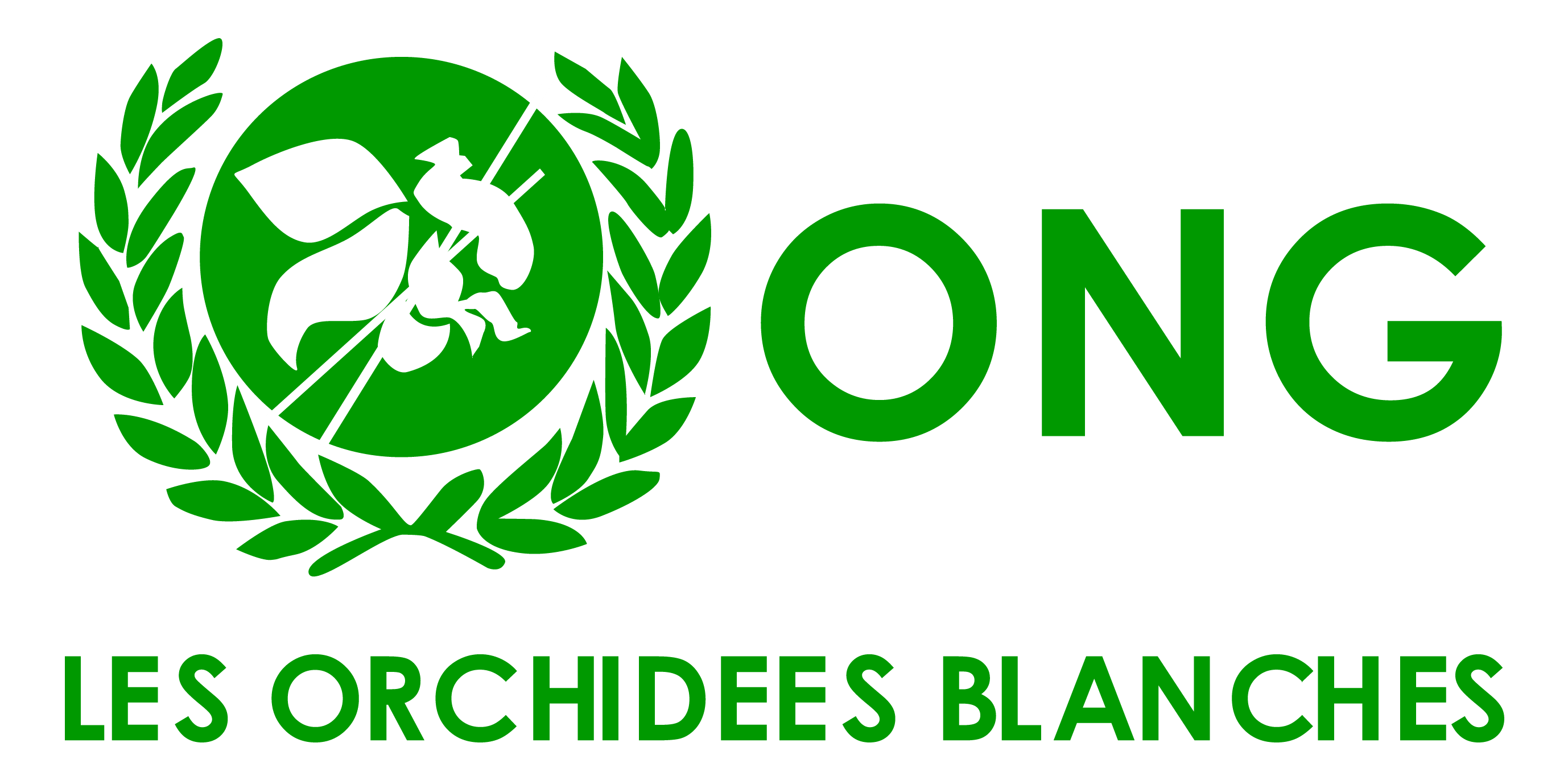 LES ORCHIDEES BLANCHES